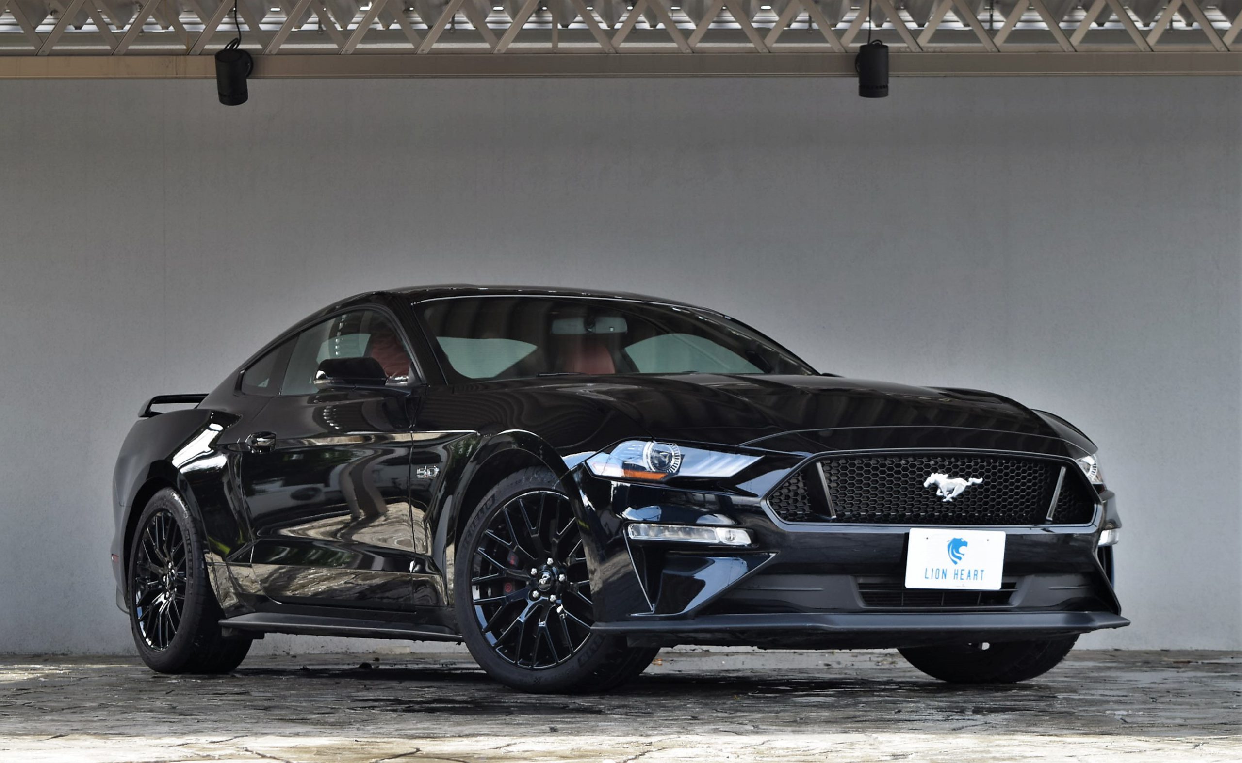 DSC_0746-scaled.jpg DSC_0746-scaled.jpg