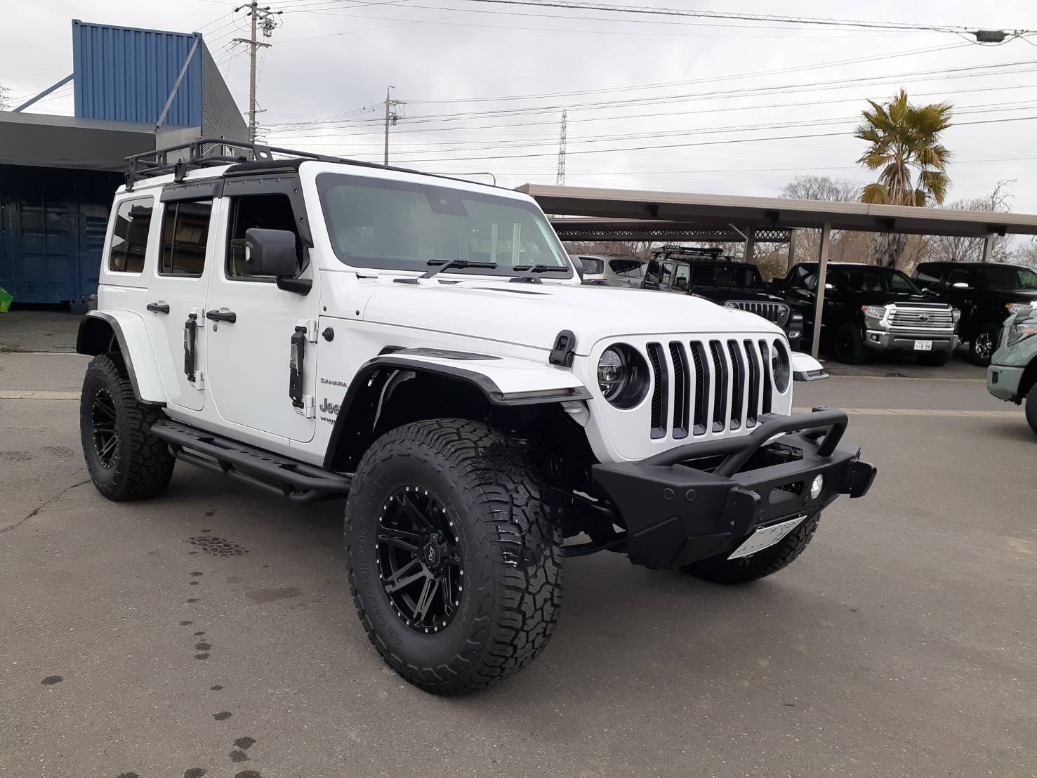 PSA10】ラフレシア デルタ種 アンリミテッド 052/028 PSA10